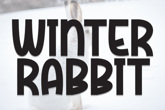 Transform Your Brand with Winter Rabbit: A Playful Display Font